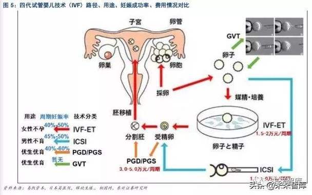 国内借卵代生子【国内借卵代生子:代孕产业的新趋势】